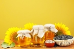 Sunflower Oil medication, Sunflower Oil new updates, long term effects of consuming sunflower oil on heart health, High temperatures
