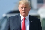 immigration false claims, donald trump children, trump made 8 158 false claims in two years report, Midterm elections