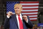 Twitter, elections, trump permanently banned from twitter, 2020 presidential elections