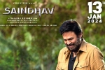 Saindhav updates, Saindhav Sankranthi 2023, venkatesh s saindhav locks new release date, Sailesh kolanu