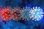 C.1.2 variant, C.1.2 variant dangerous, latest coronavirus variant evades vaccine protection, Mauritius