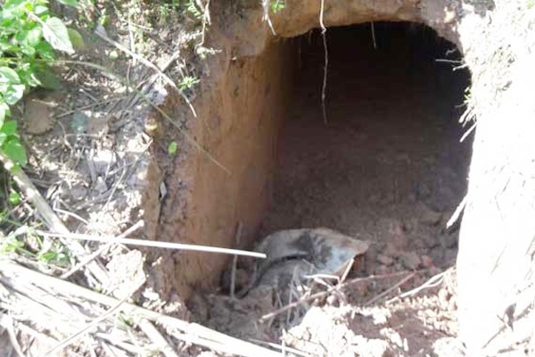 BSF found 20 meter tunnel from Pakistan in Sambha J&K