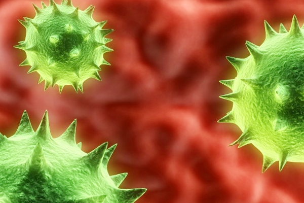 University of Michigan investigates possible norovirus},{University of Michigan investigates possible norovirus
