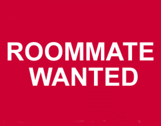 Immediate vacancy for a private room in 2BR Apt