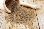 Ajwain diet, Carom Seeds good or bad, benefits of adding carom seeds to your diet, Cuisine