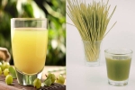 Amla Juice, Amla Juice Vs Wheatgrass Juice liver, amla juice vs wheatgrass juice for fatty liver, War 2