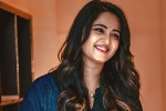 Anushka, Anushka Telugu film, anushka back to shoot, Anushka shetty