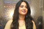 Anushka new films, Anushka latest updates, anushka s next project updates, Anushka shetty