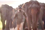 Rana Daggubati Aranya​ movie review, Aranya​ rating, aranya movie review rating story cast and crew, Eros international