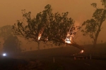 file blazes, file blazes, australia fires warnings of huge blazes ahead despite raining, Gta 5