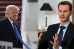Assad, Assad, trump wanted syrian leader killed says new book by woodward, Nervous breakdown