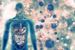 doctors, COVID-19, covid 19 can affect almost all organs experts at aiims, Niti aayog doctors, COVID-19, covid 19 can affect almost all organs experts at aiims, Niti aayog