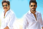 Naga Chaitanya, Zee Studios, ten days worldwide collections of bangarraju, Soggade chinni nayana