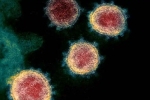 Coronavirus, Coronavirus origin, face covid 26 and covid 32 warns experts, Coronavirus origin