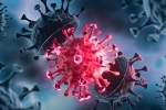 USA Coronavirus, USA Coronavirus updates, delta variant makes usa tensed again, Astrazeneca
