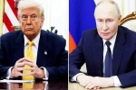 Vladimir Putin, Donald Trump and Vladimir Putin call, all about donald trump and vladimir putin s call, T state