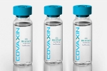 EUL for Covaxin by WHO, EUL, who delays the eul decision on covaxin, Covaxin