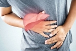 Liver Disease, Liver Disease, here are early signs of liver disease you should not ignore, Rabh