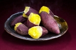Sweet Potato, Sweet Potato latest news, what happens if you eat sweet potato everyday, Magnesium