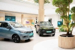 Car Sales September 2024 breaking, Car Sales September 2024, electric car and suv sales reach lowest in september 2024, Windsor ev