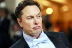 Elon Musk India visit delayed, Tesla CEO, elon musk s india visit delayed, U s india