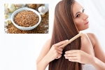 Flaxseeds breaking news, Flaxseeds latest, how flaxseeds can help for a long and healthy hair, Recipe
