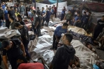 death toll in Israel, death toll in Israel, 500 killed at gaza hospital attack, Blame game death toll in Israel, death toll in Israel, 500 killed at gaza hospital attack, Blame game