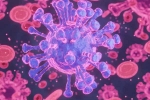HMPV Virus case breaking, HMPV Virus case small baby, first hmpv virus case detected in india s bengaluru, Hmpv virus