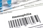 Haemophilia breaking, Haemophilia, essential tips when you are travelling with haemophilia, Culture