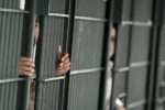 illegal crossing, United States, over 2 300 indians in u s jails for illegal crossing of border report, Punjabis