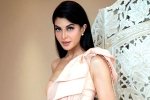 Jacqueline Fernandez breaking, Jacqueline Fernandez, jacqueline fernandez files complaint against sukesh chandrashekhar, Jacqueline fernandez