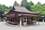 Japan Viral Mikami Shrine famous, Japan Viral Mikami Shrine latest breaking, why are travellers flocking to japan s viral mikami shrine, Pictures
