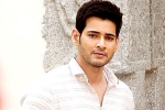 AR Murugadoss, Mahesh Babu updates, mahesh babu to take a long break, Bharat anu nenu
