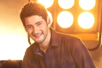 Mahesh Babu and Sara Ali Khan, Mahesh Babu latest, mahesh babu getting bollywood beauty for his next, Sarileru neekevvaru Mahesh Babu and Sara Ali Khan, Mahesh Babu latest, mahesh babu getting bollywood beauty for his next, Sarileru neekevvaru