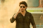 Guntur Kaaram shoot, Guntur Kaaram release date, major changed for mahesh babu s guntur kaaram, Pooja hegde