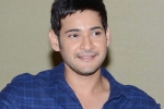 Mahesh Babu next film, Mahesh Babu latest, mahesh babu s next updates, Bharat anu nenu