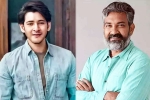 Mahesh Babu and Rajamouli Film news, SS Rajamouli, interesting updates about mahesh babu and rajamouli film, Rajamouli