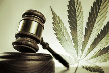 Green signal to legalize recreational pot