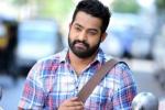 Bobby, NTR, official ntr s next film locked, Sardar gabbar singh