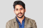 Naga Chaitanya next film, Love Story, interesting title for naga chaitanya s next, Venky mama