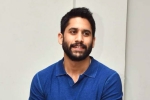 Naga Chaitanya lineup, Naga Chaitanya new movie, change of plans for naga chaitanya, Suresh babu Naga Chaitanya lineup, Naga Chaitanya new movie, change of plans for naga chaitanya, Suresh babu