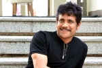 Nagarjuna upcoming movies, Nagarjuna next film, nagarjuna s 100th film will be a multi starrer, Nagarjuna 100th film