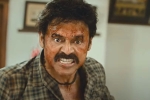 Narappa trailer updates, Narappa trailer updates, venky s narappa trailer talk, Narappa Narappa trailer updates, Narappa trailer updates, venky s narappa trailer talk, Narappa