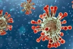 China Covid Row review, China Covid Row India, new china coronavirus variant traced in india, China covid row