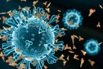 XEC Covid Variant breaking, XEC Covid Variant in countries, new xec covid variant detected in 27 countries, Omicron