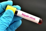 Nipah Virus in Kerala, Nipah Virus in South India, nipah virus is back again two deaths registered, Nipah viru