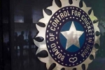 World Cup 2027 India Probables, World Cup 2027 India Probables finalized, odi world cup 2027 probables decided by bcci, Nris World Cup 2027 India Probables, World Cup 2027 India Probables finalized, odi world cup 2027 probables decided by bcci, Nris