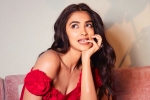 Pooja Hegde upcoming films, Pooja Hegde news, pooja hegde in talks for a biggie, Siddharth roy kapur