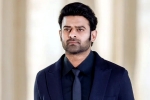 Prabhas new movie, Maruthi, new updates of prabhas and maruthi film, Raja deluxe Prabhas new movie, Maruthi, new updates of prabhas and maruthi film, Raja deluxe