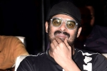 Prabhas and Maruthi Film shoot updates, Prabhas and Maruthi Film pooja, prabhas next film launched, Raja deluxe Prabhas and Maruthi Film shoot updates, Prabhas and Maruthi Film pooja, prabhas next film launched, Raja deluxe